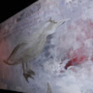 Meet your Posher, Nathi